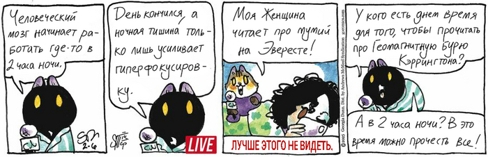 Котейкины Новости от 06.02.2025