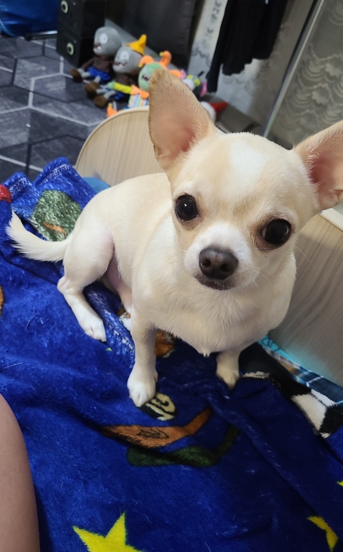 ���� �����