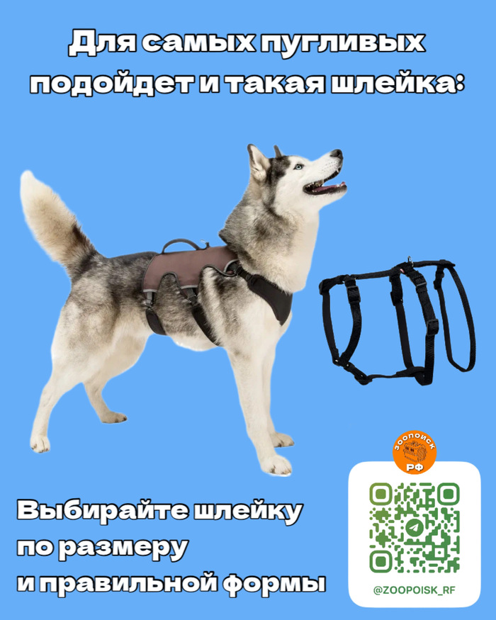         :  , ,  , ,  ,  , , , , 