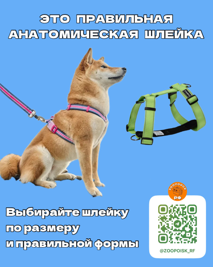         :  , ,  , ,  ,  , , , , 