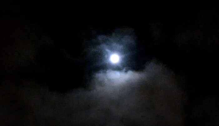 � ������ ������ ��������