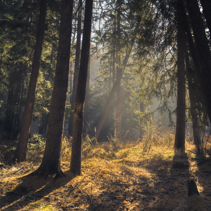  , , , Lightroom mobile, , -, ,  , , , , , , 