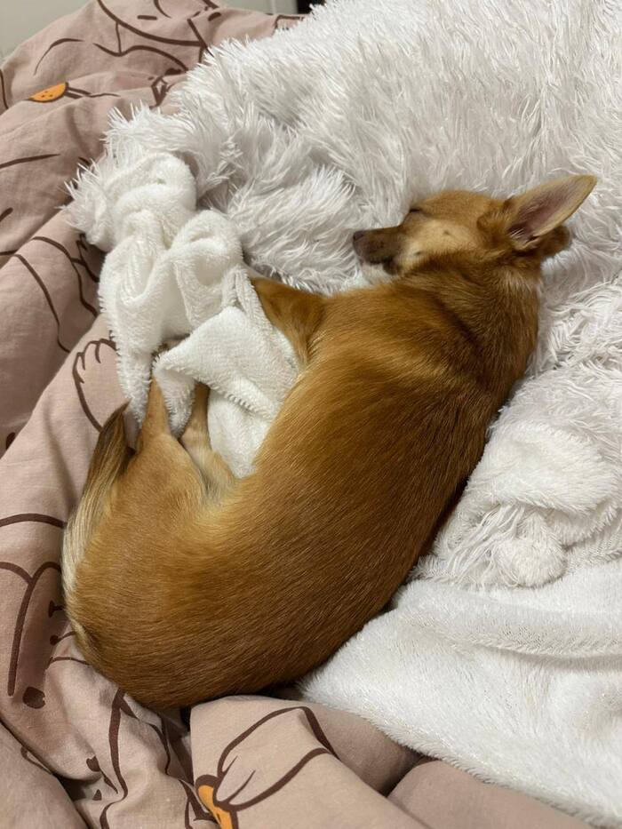 ������� ���� ����