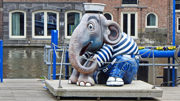 Морской слон