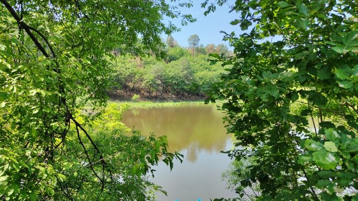 Природа Амурской области