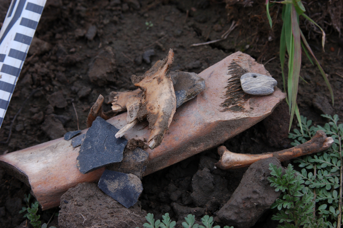 Следы человеческой деятельности слева направо: отщепы (отходы при производстве каменных орудий), челюсти зайца, каменное рубило, подвеска и разбитая камнем кость. А покоится всё это на рабочем месте, сделанном из кости мамонта.