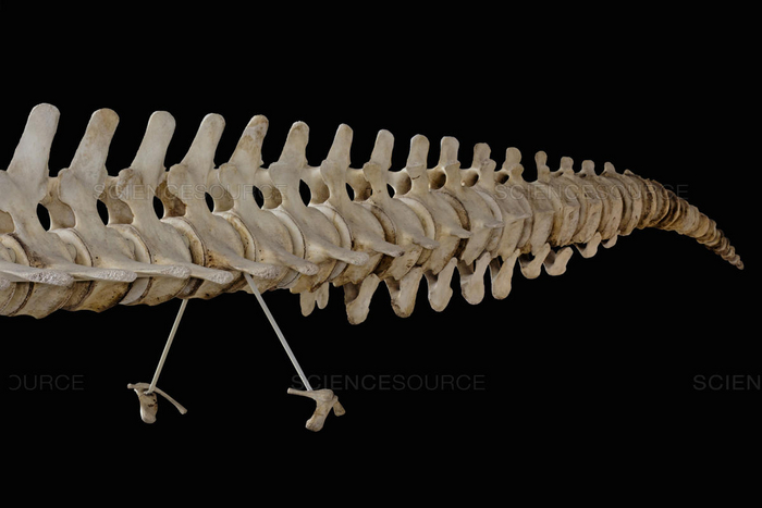 ����� ���� � ���� � ����� ������������ ���������, ��� ��� ����� ����� � ����������� � ����� �� ������� � �������������. ������� ���������� ����� �������� ����������� �� ������������ �����������!