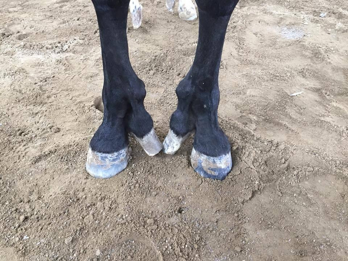 � ��������� ������� �������������� ����� ��-���� ���������. �������� ���, ����� �������� �� ����� ����� �� ��������.