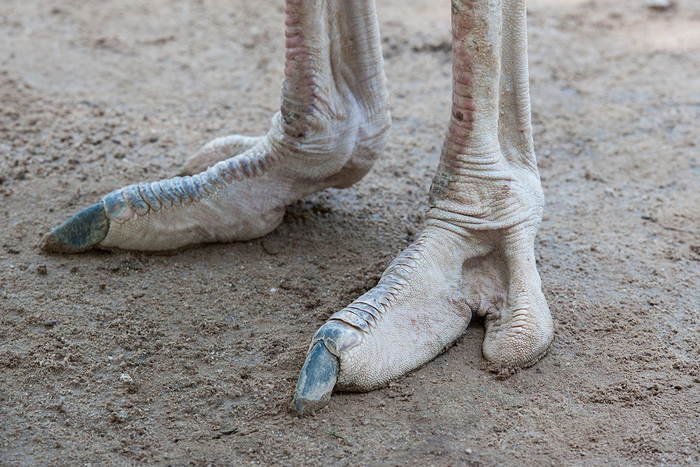 ��� ����� �������� �� �������, ��� ��� �� �������?