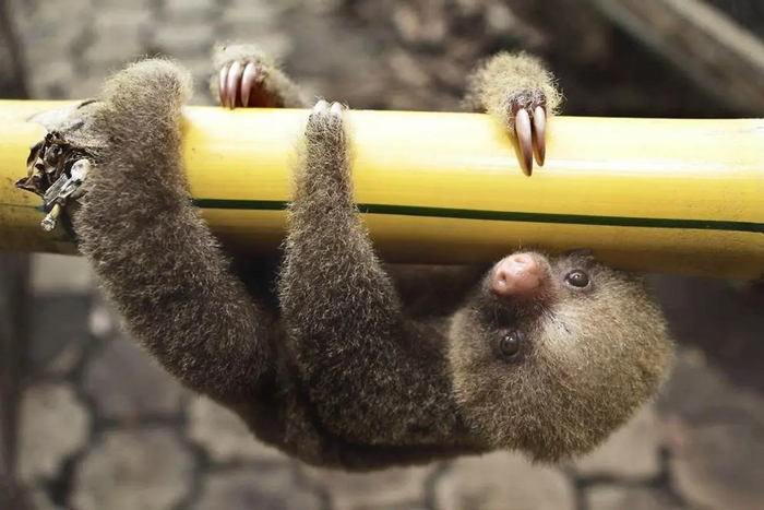 �������� ������������ ����� �� ������ ��������-������.