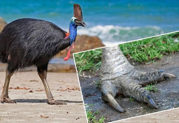 � ������� ������ ����� � ��� �������� ������. ������ �� ��� ��������� ����� � 12 ��.