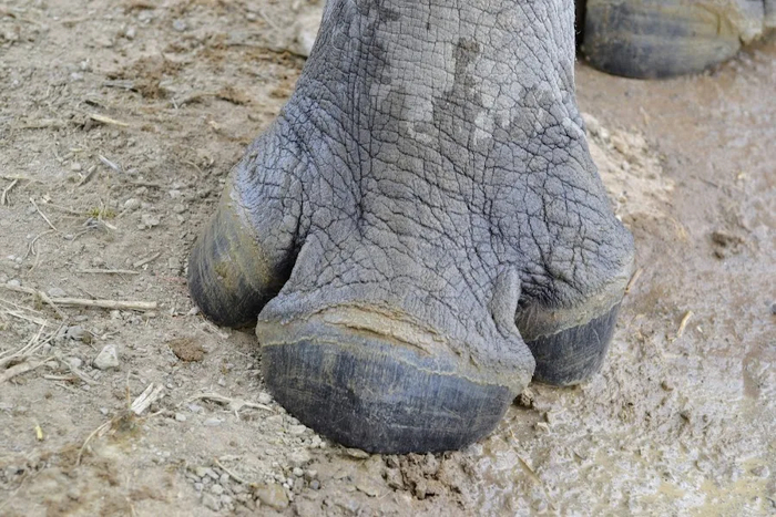 ���������, � �� �������� �� �� ������� ��������?