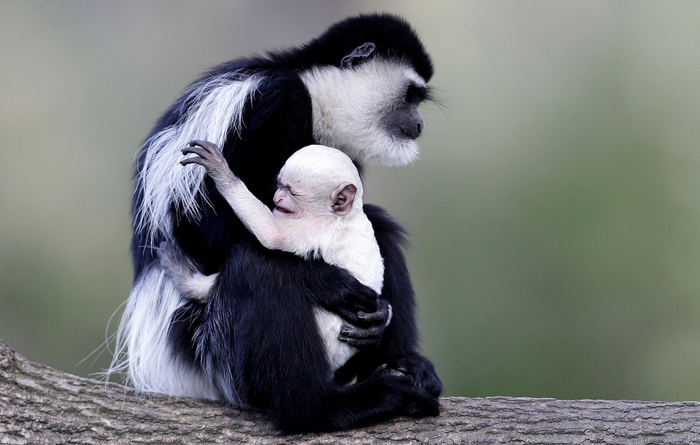 ��� ����, ����� � �������� �������� �� �������� ������ �����.