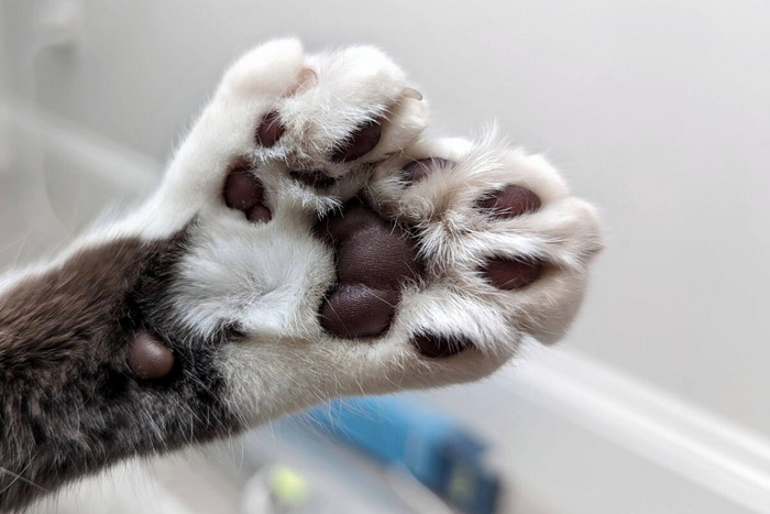 1 ���� � 6 ���. �������...