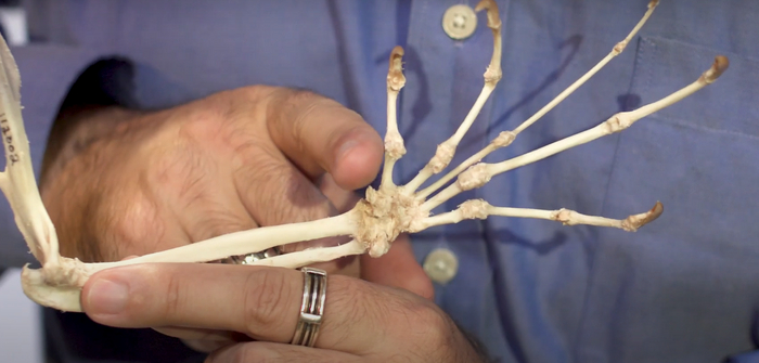 ��������� �� ���������� ���������� ��� �� ����� ��������� 6 ������ ������. �� ���� ������ ����������.