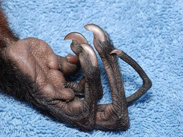 ����� ������ ��-�� � ��� ������, � ��� ��� � 6 ����� ���������...