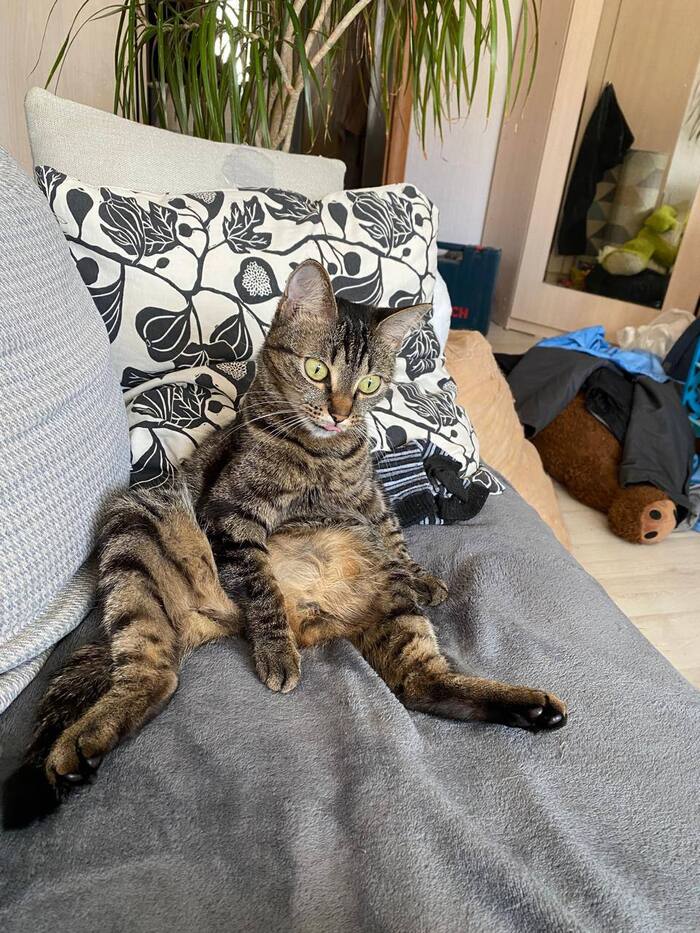    ,  , , 