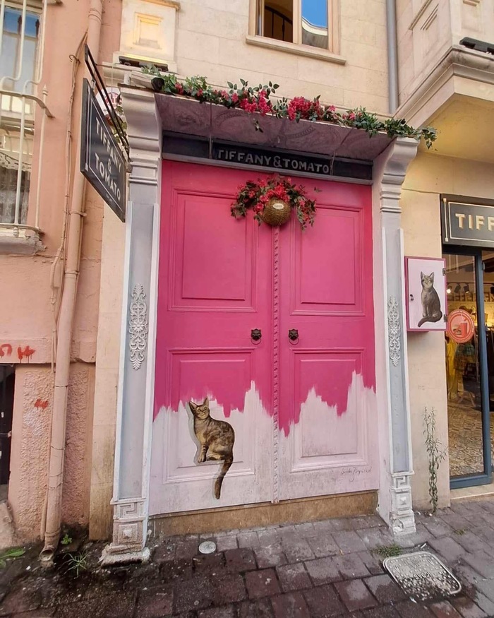 Дверной арт