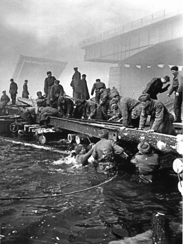 ��������� ������ ������� ���������