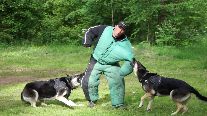 Когда зашел с детьми в магазин игрушек и теперь не знаешь, как оттуда сбежать без покупок.
