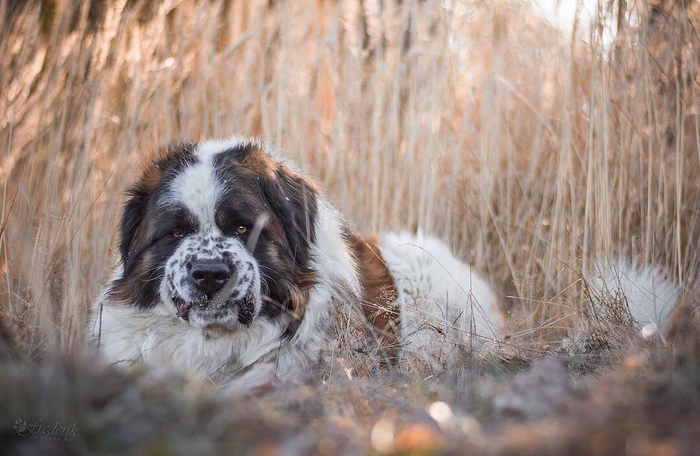 Когда мама просит улыбнуться тёте Зине, которую ты видишь второй раз в жизни.