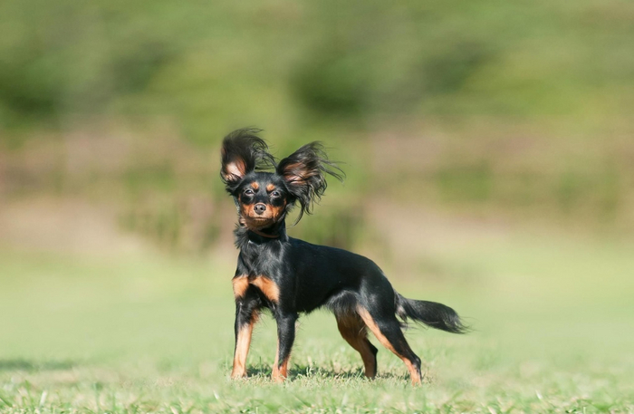 Когда внезапно навалился груз советсткого прошлого.