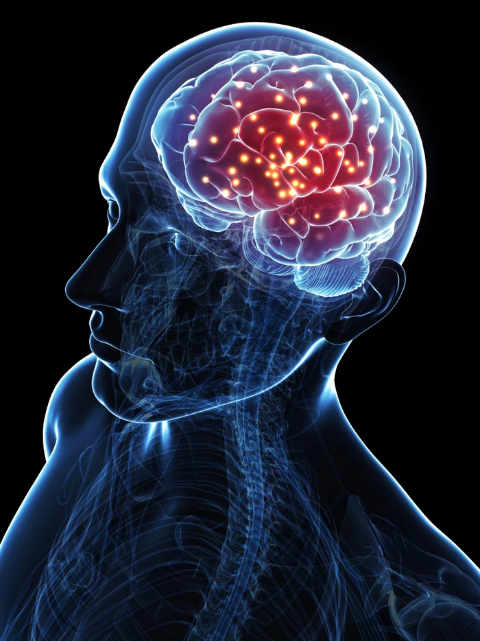 Brain rot       , ,  , , ,  , ,  , , 