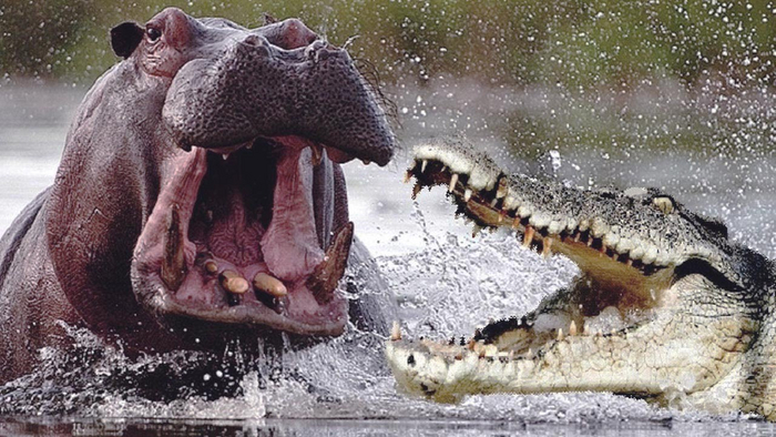 � ���, ��������� �� �������� ������ ��� ������ ���!