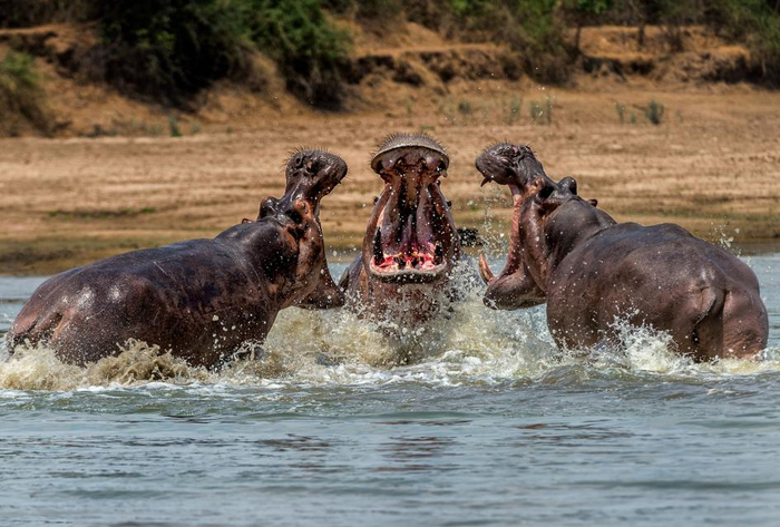 ���������� ��������� �� ����� ��� ������� ����� � ������ � ������� ������ � ������ ���������.