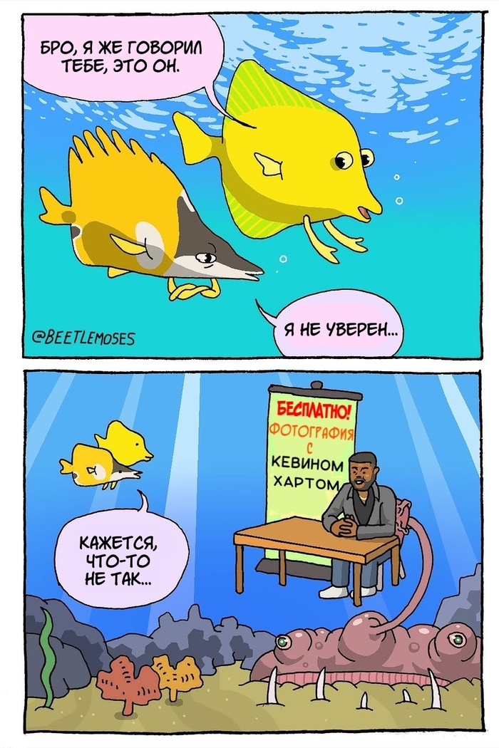    , , , ,  , Beetlemoses