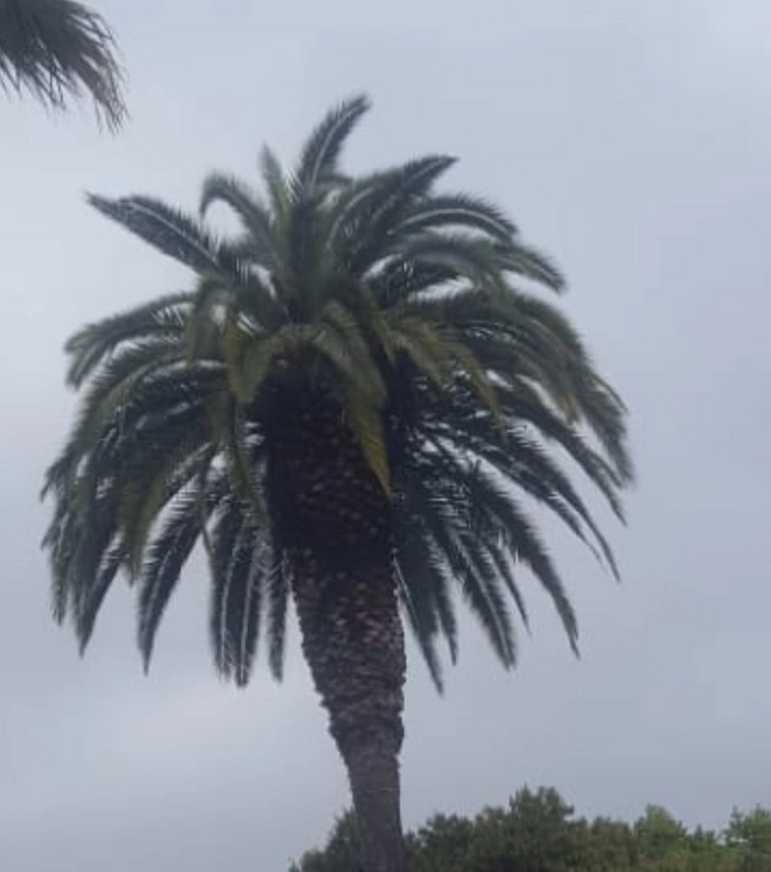  :    , , , , , ,  , , , , 