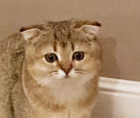 Когда этот мир абсолютно понятен