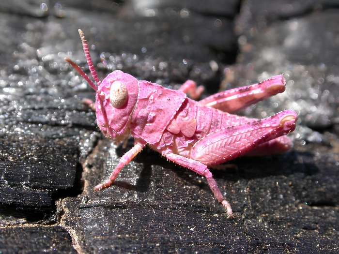  ,   ,      !   , ,   !