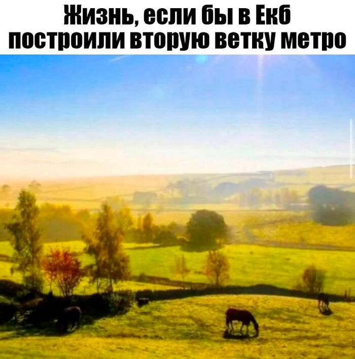 ��������������, �� �������� ������� ���� �� ����� ������ �� ����?!