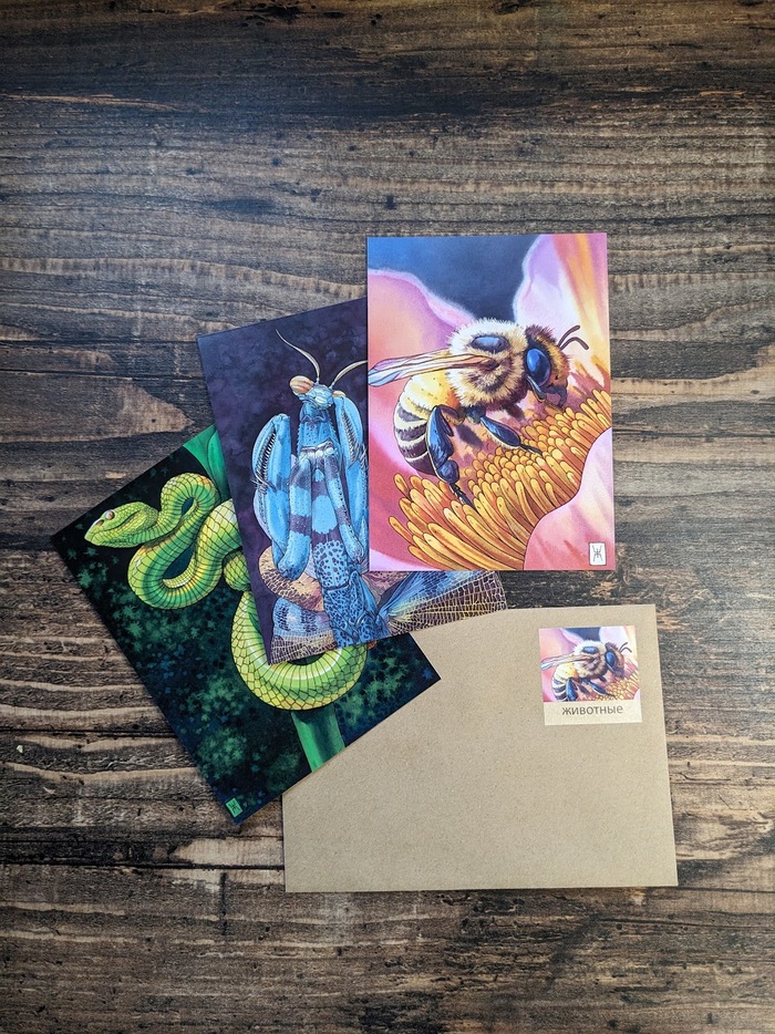      (  , ) ,  , , , , , Postcrossing, 