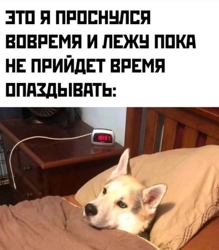 Подскажите источник?