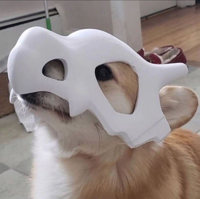  ,    ? , 