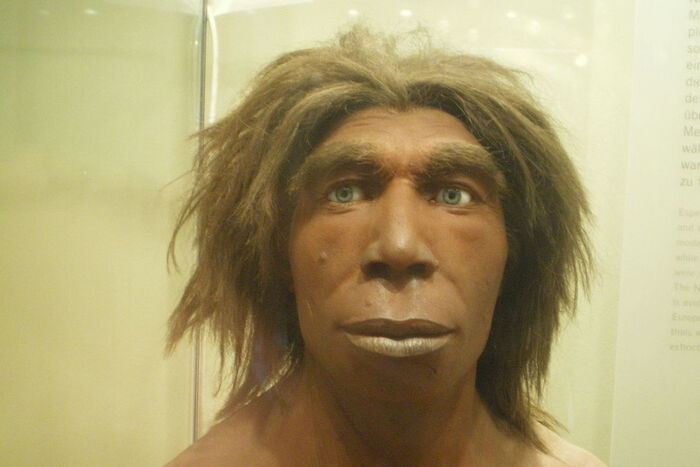  Cortesi     &quot; , 1960-&quot;