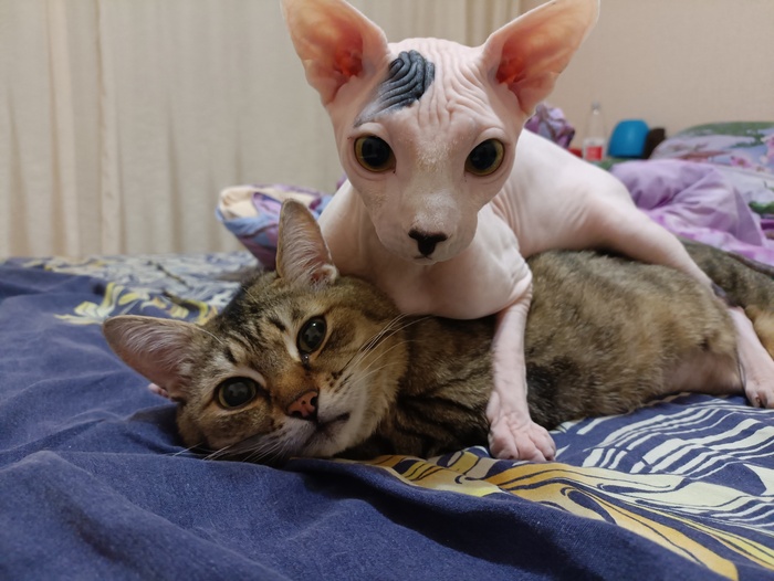 ������-������