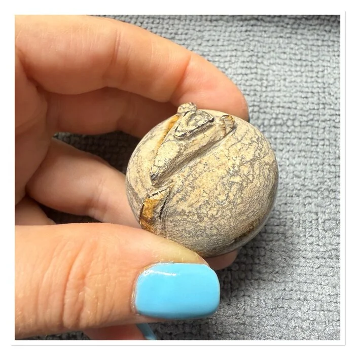 Baby Jasper Armadillo - My, Needlework with process, Needlework, With your own hands, Friday tag is mine, Stone carving, Jasper, Battleship, Figurines, Longpost