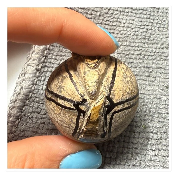 Baby Jasper Armadillo - My, Needlework with process, Needlework, With your own hands, Friday tag is mine, Stone carving, Jasper, Battleship, Figurines, Longpost