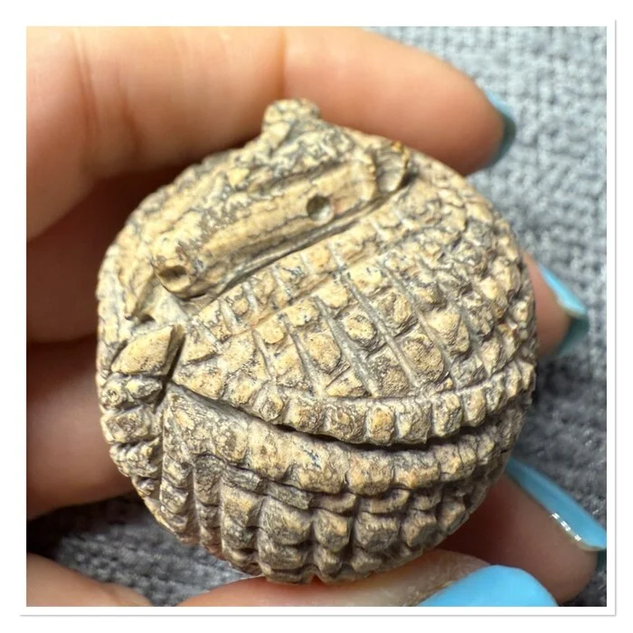 Baby Jasper Armadillo - My, Needlework with process, Needlework, With your own hands, Friday tag is mine, Stone carving, Jasper, Battleship, Figurines, Longpost