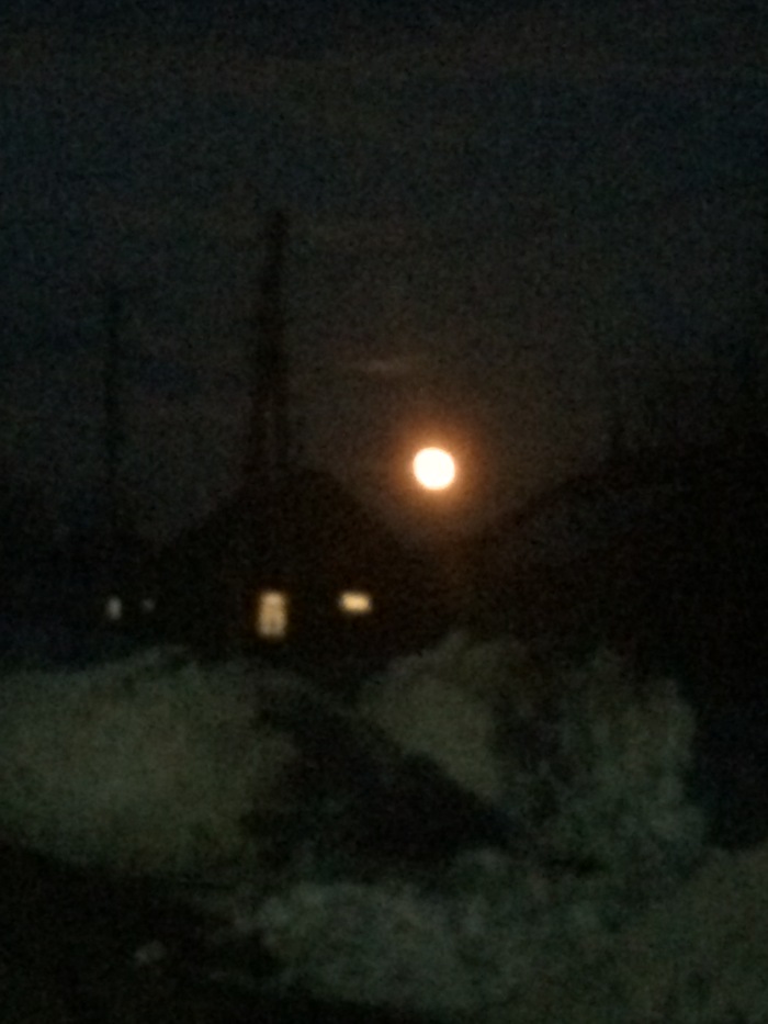 �� � �� ����� � ����� ���� ���� ���������� ������ ����� � �����