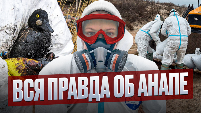 ���������� � ������ ����: �������� � ����� ������� ��������