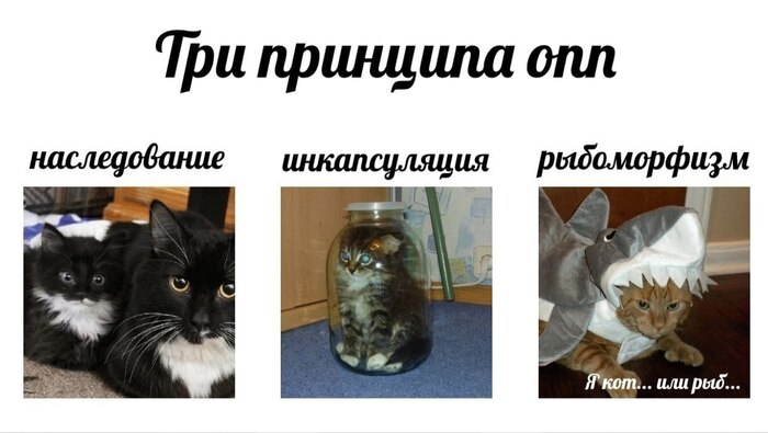 Три принципа ооп