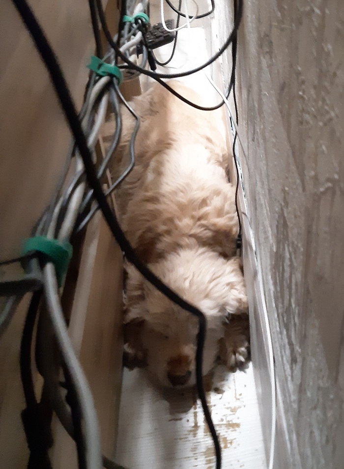           ? , ,  ,  , -, ,   