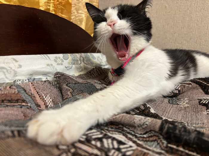       :3 , ,  ()