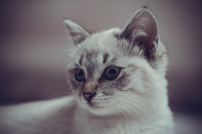 ����������. ����� �������� �������