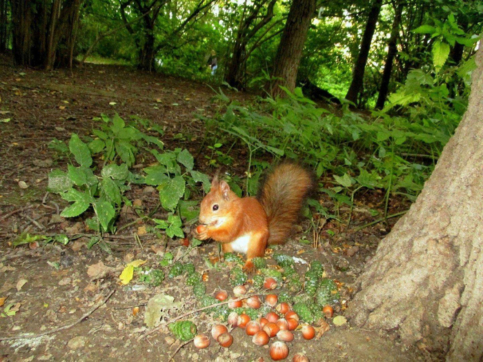 Какой ещё чёрный день? У нас это называется обжорный день!