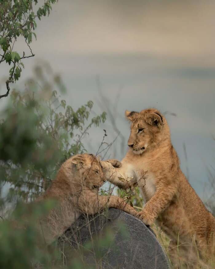 Слушайся меня